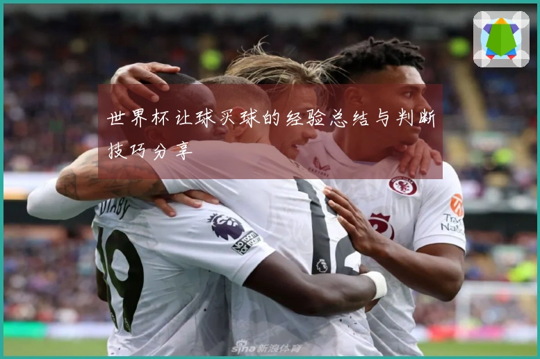 世界杯让球买球的经验总结与判断技巧分享