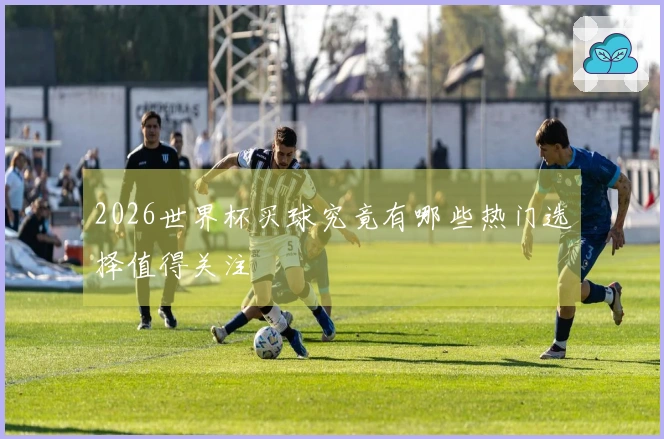 2026世界杯买球究竟有哪些热门选择值得关注