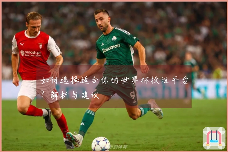 如何选择适合你的世界杯投注平台？解析与建议