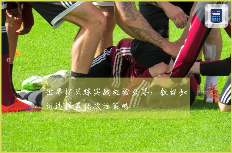 世界杯买球实战经验分享，教你如何选择最优投注策略