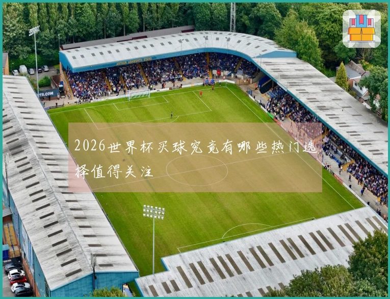 2026世界杯买球究竟有哪些热门选择值得关注