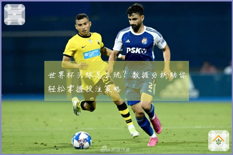 世界杯买球怎么玩？数据分析助你轻松掌握投注策略
