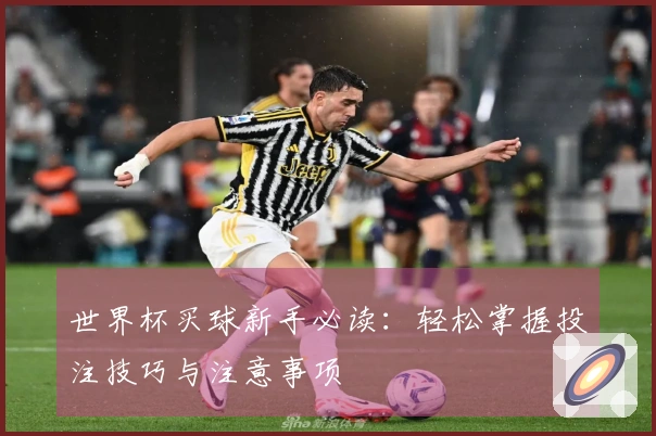 世界杯买球新手必读：轻松掌握投注技巧与注意事项