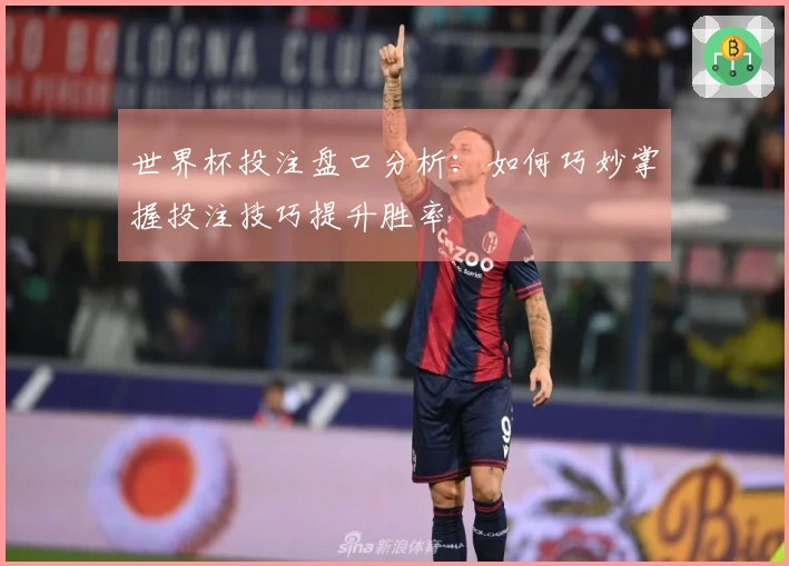 世界杯投注盘口分析：如何巧妙掌握投注技巧提升胜率