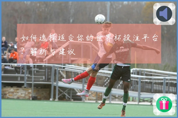如何选择适合你的世界杯投注平台？解析与建议