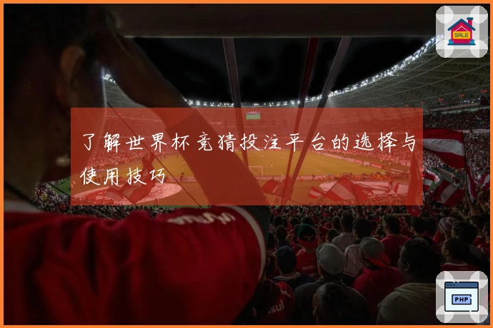 了解世界杯竞猜投注平台的选择与使用技巧