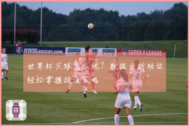 世界杯买球怎么玩？数据分析助你轻松掌握投注策略