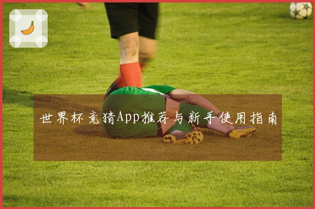 世界杯竞猜App推荐与新手使用指南