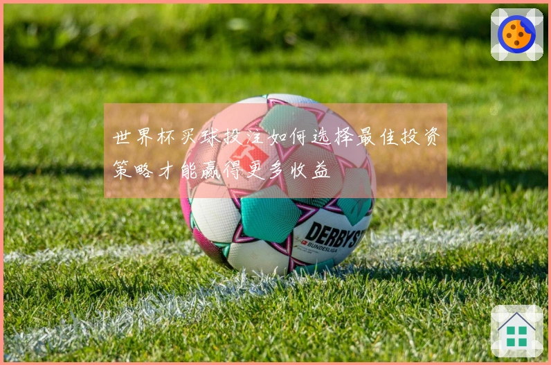 世界杯买球投注如何选择最佳投资策略才能赢得更多收益