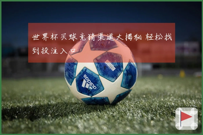 世界杯买球竞猜渠道大揭秘 轻松找到投注入口