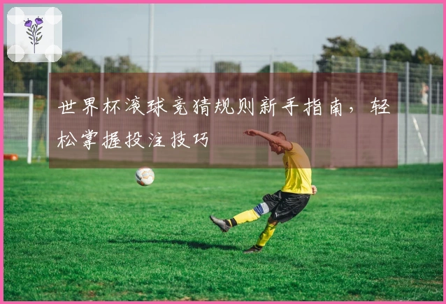 世界杯滚球竞猜规则新手指南，轻松掌握投注技巧