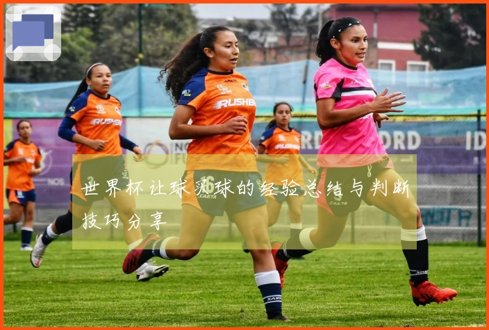 世界杯让球买球的经验总结与判断技巧分享