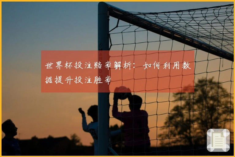 世界杯投注赔率解析：如何利用数据提升投注胜率