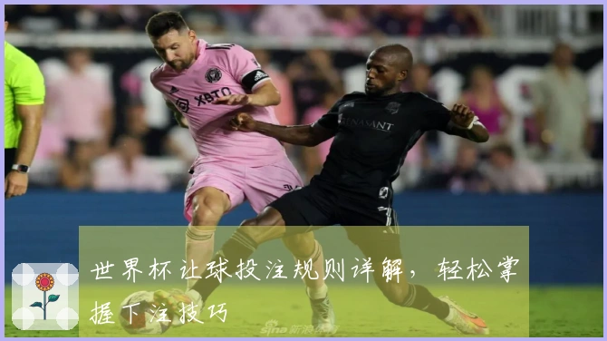 世界杯让球投注规则详解，轻松掌握下注技巧